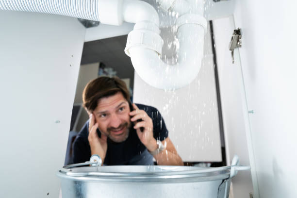Best Water Softener Installation  in Bushnell, FL